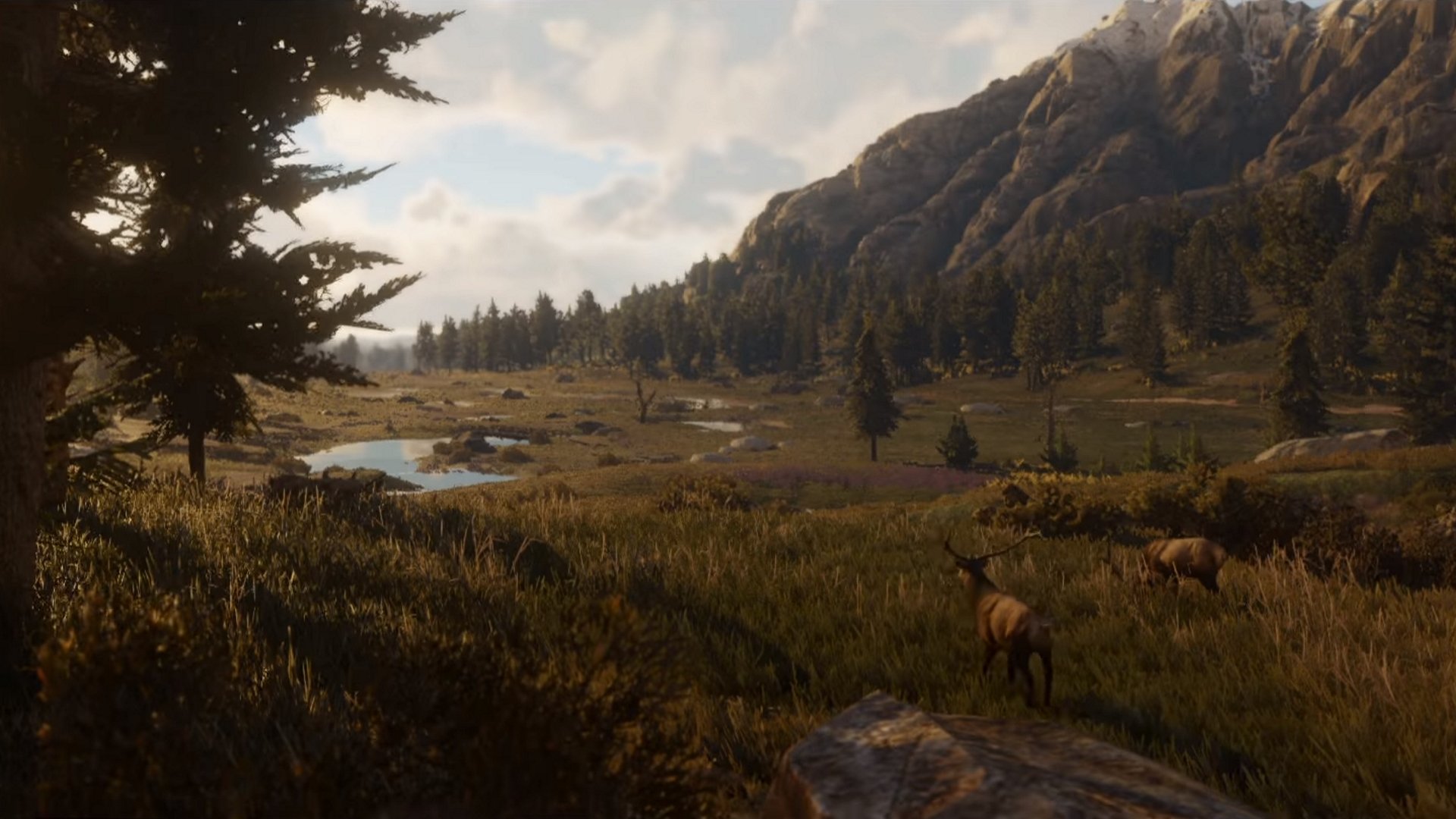 Red Dead Redemption 2 animal map locations: Where to find