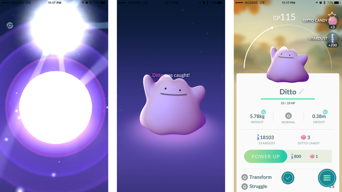 How To Catch Ditto in Pokémon GO AllGamers