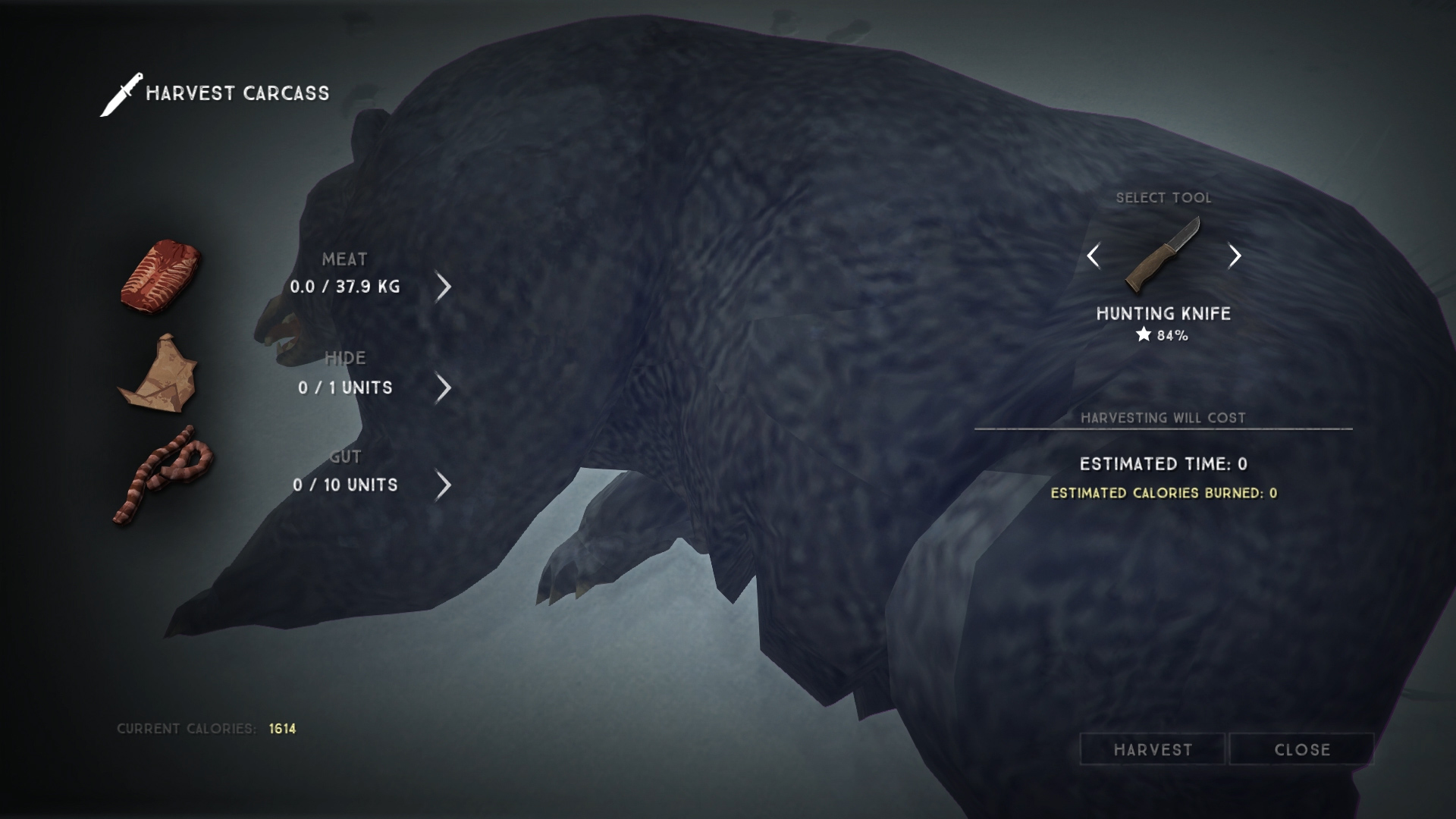 How to Kill a Bear in The Long Dark AllGamers