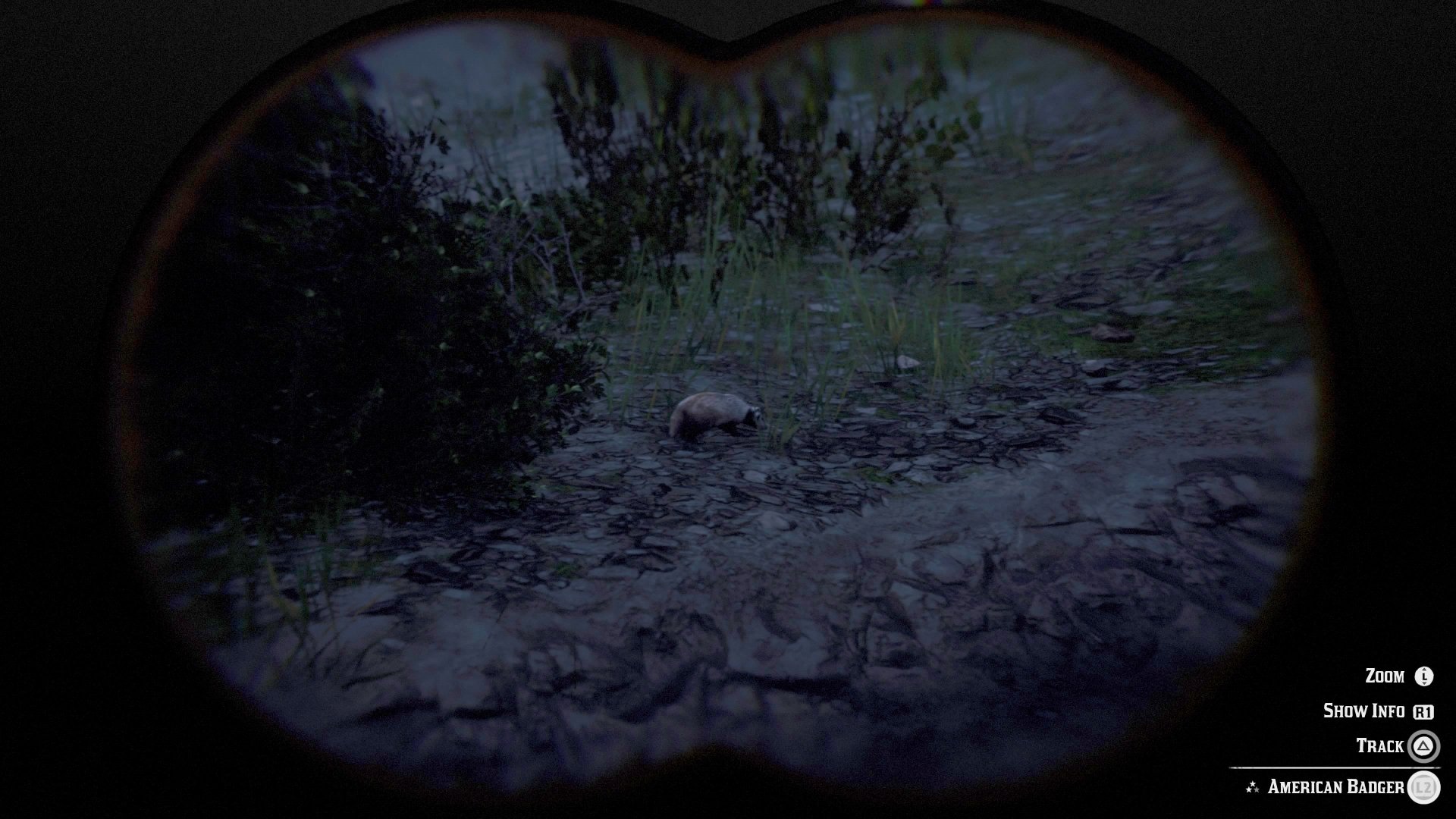 Badger locations in RDR2