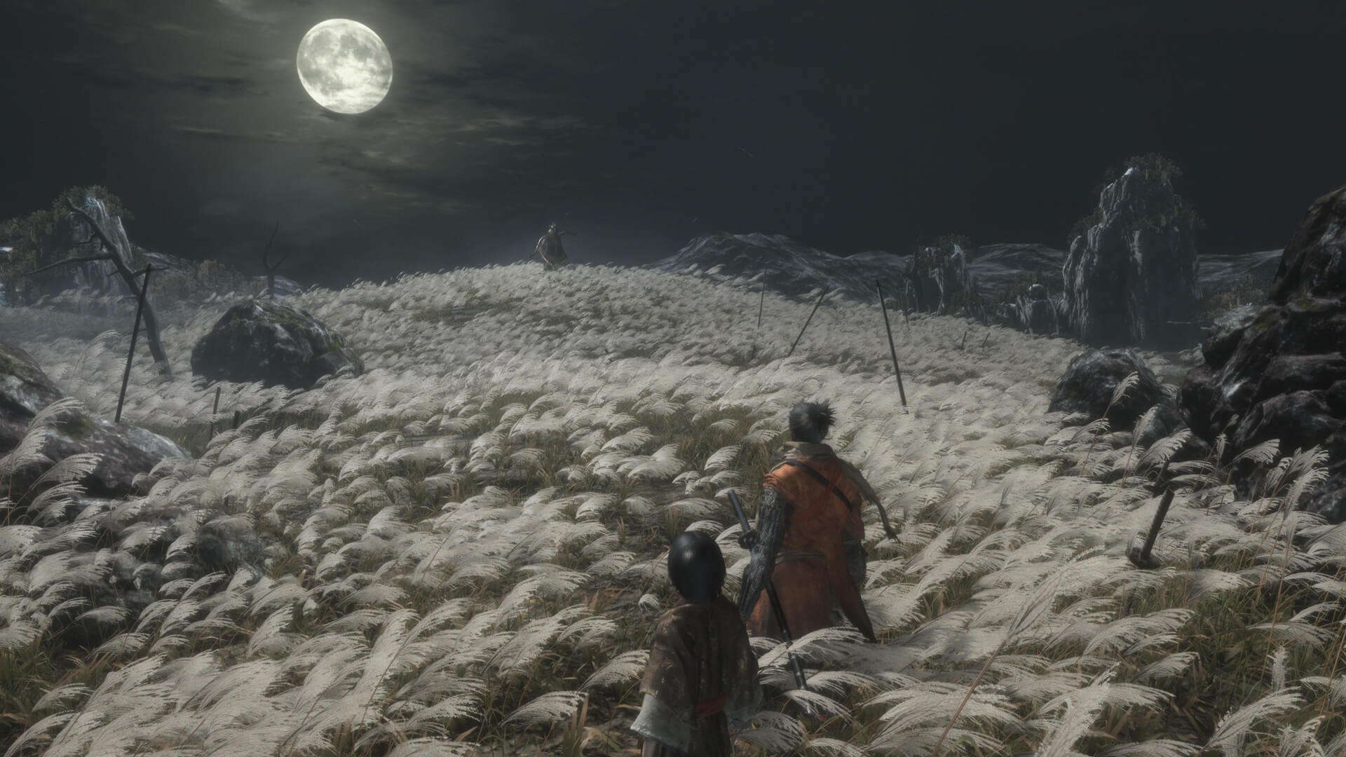 2020 New Years gaming resolutions - sekiro