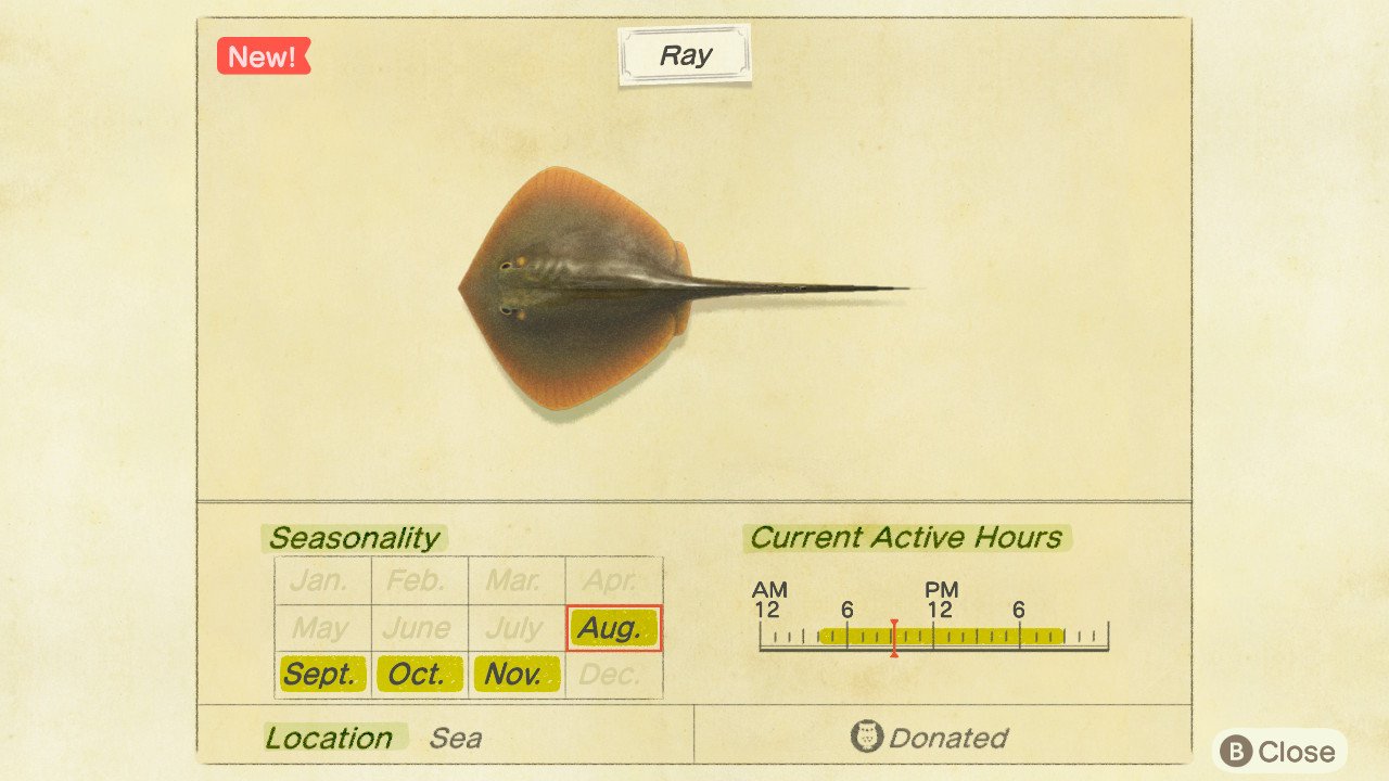 How to catch a ray in Animal Crossing: New Horizons