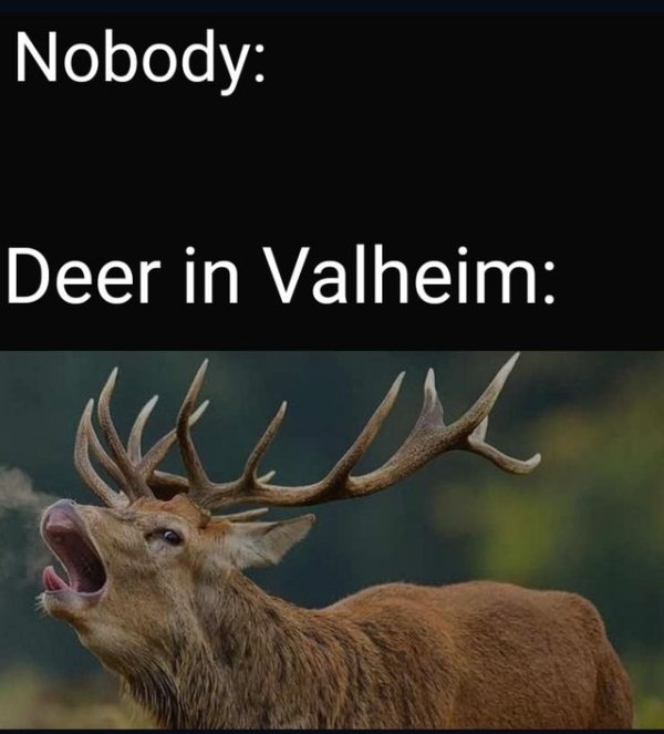 The best Valheim memes | AllGamers