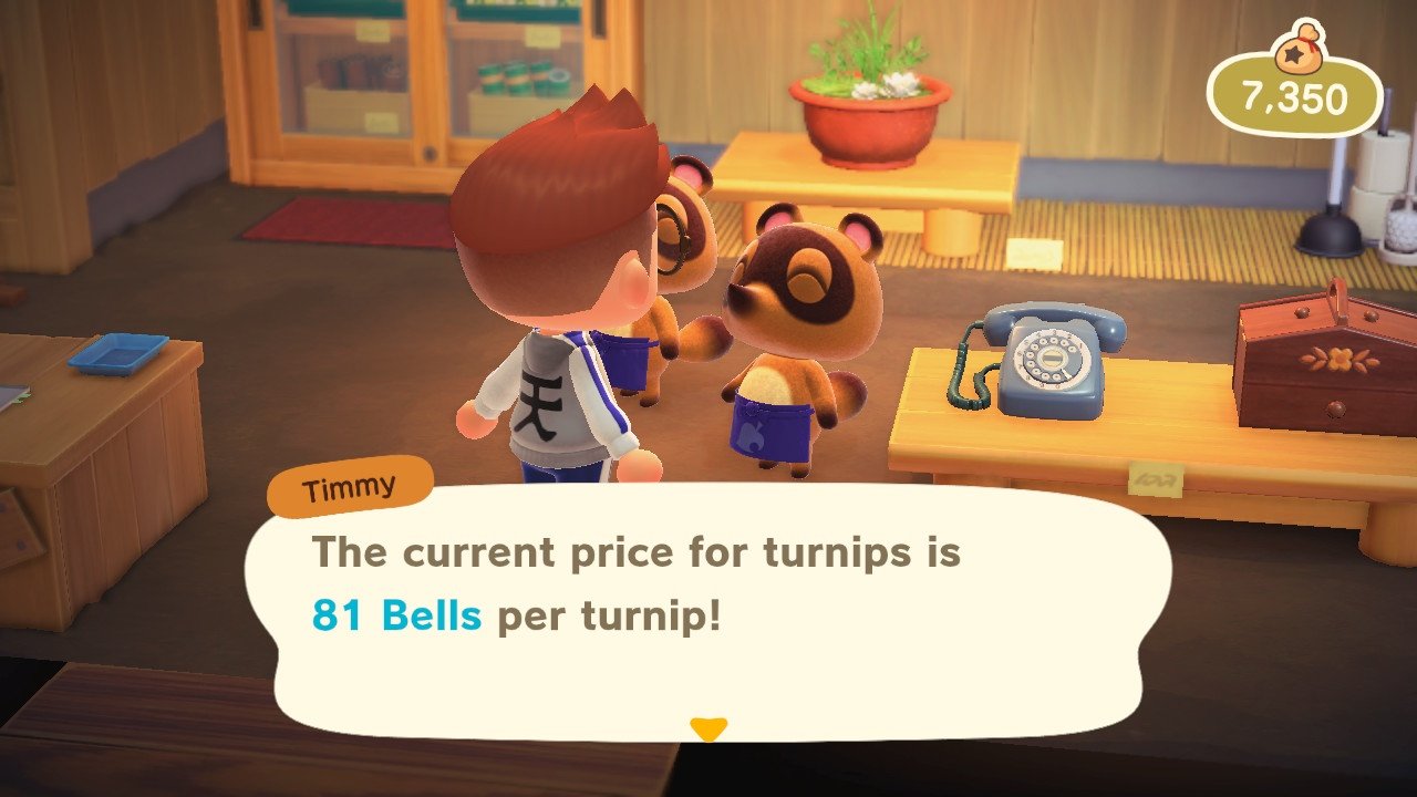 Video game stock markets animal crossing