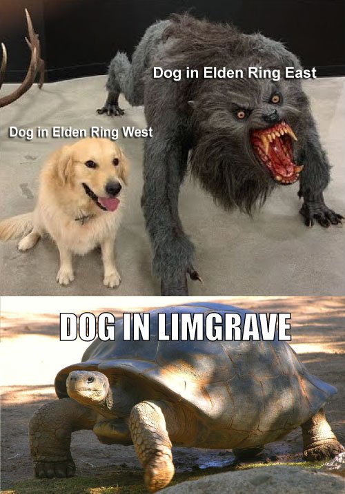 the-best-elden-ring-memes-dogs-1.jpg