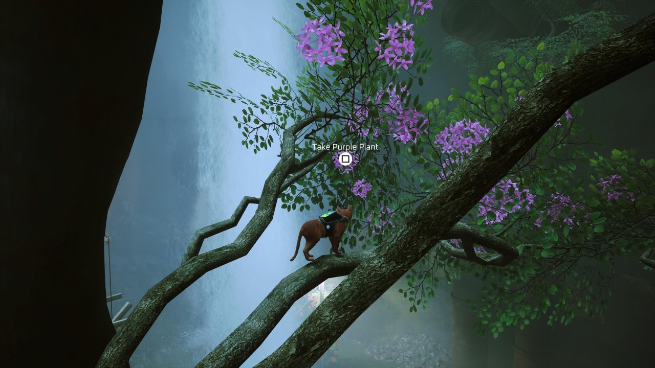 Purple Plant location stray guide - an image of the player cat standing on a narrow horizontal tree trunk with a prompt to take the puple plant in fornt of them.