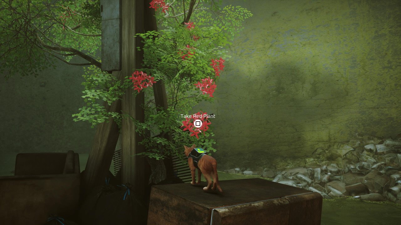 Where to find red plant stray guide - an image of the cat on top of a fridge with the prompt to take red plant above them on a bush